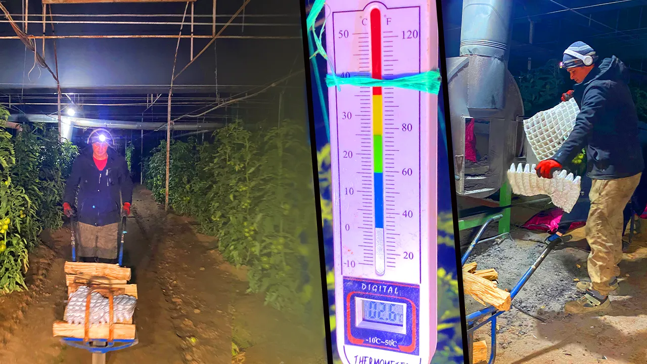 34 ilin kabusuna Antalya’da sıralı önlem! 12 saatlik ‘zirai don’ nöbeti başladı 