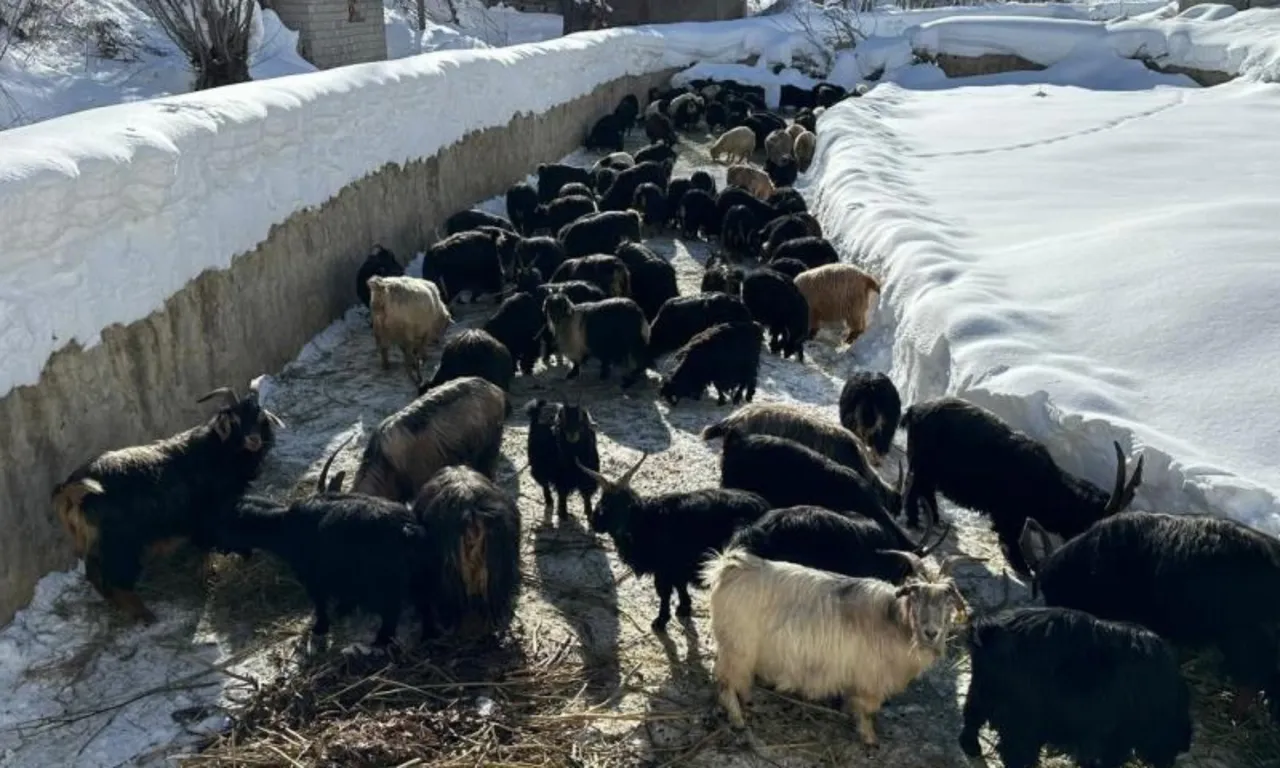 Kar altında hayat: Vatandaşlar evlerine tünellerden giriyor