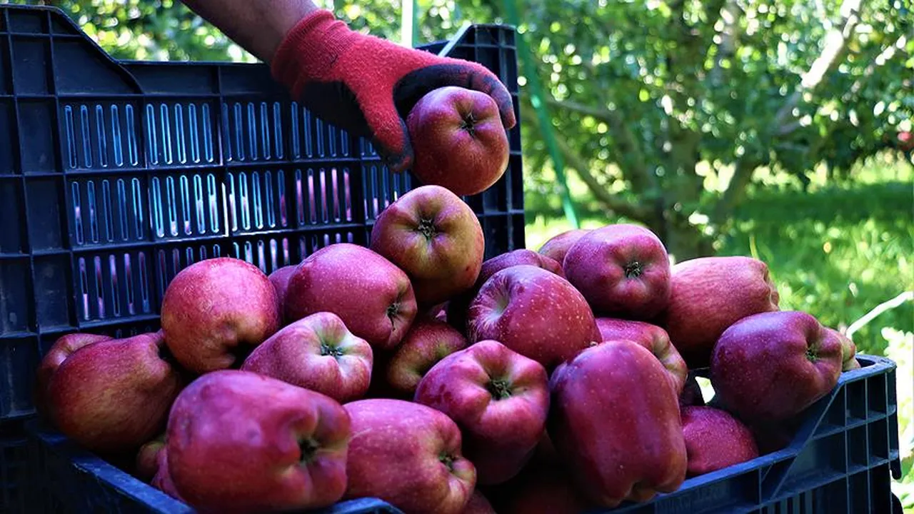 Her mutfakta var! 11 meyve ve sebzede ölümcül tehlike!