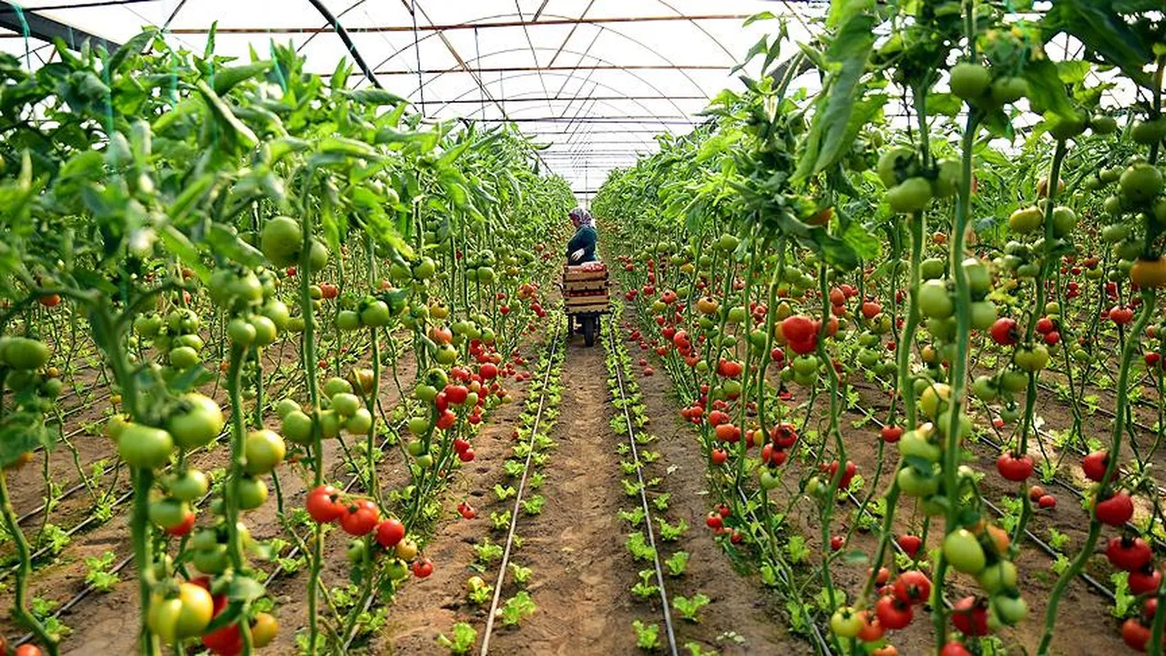 Her mutfakta var! 11 meyve ve sebzede ölümcül tehlike!
