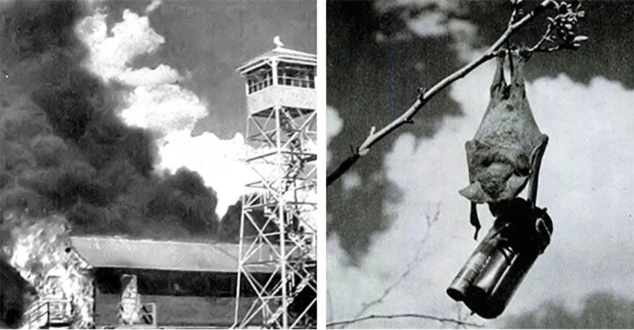 Putin balina kullandı, ABD yarasa bombası geliştirdi! İngiliz basını gizli savaşı ifşa etti