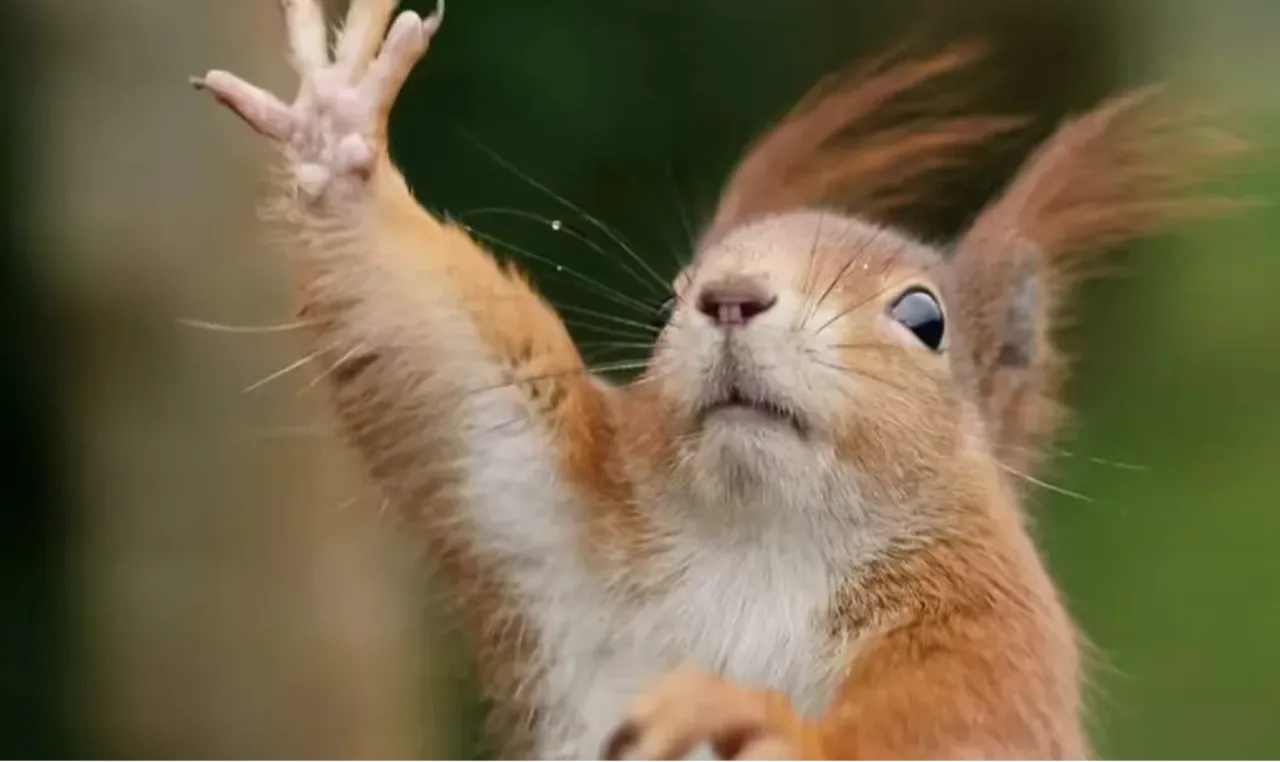 Putin balina kullandı, ABD yarasa bombası geliştirdi! İngiliz basını gizli savaşı ifşa etti