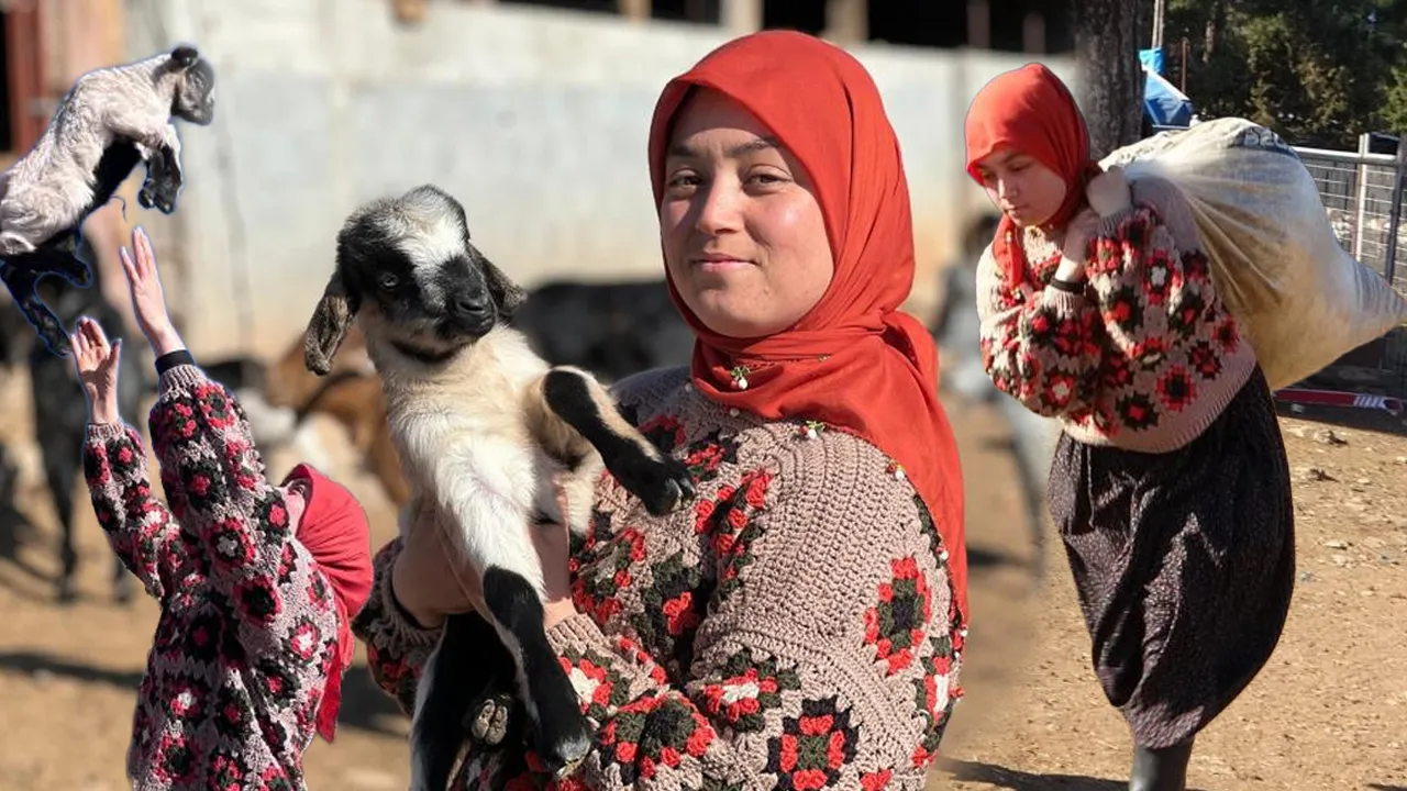 Üniversiteyi bitirdi, köy hayatını seçti! Hollanda’dan gelip yörük kızı Ayşe’yi izliyorlar