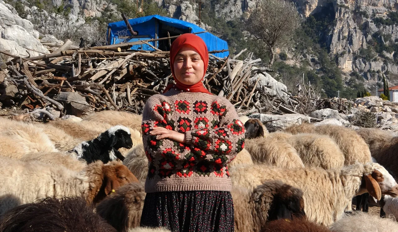 Üniversiteyi bitirdi, köy hayatını seçti! Hollanda’dan gelip Yörük kızı Ayşe’yi izliyorlar