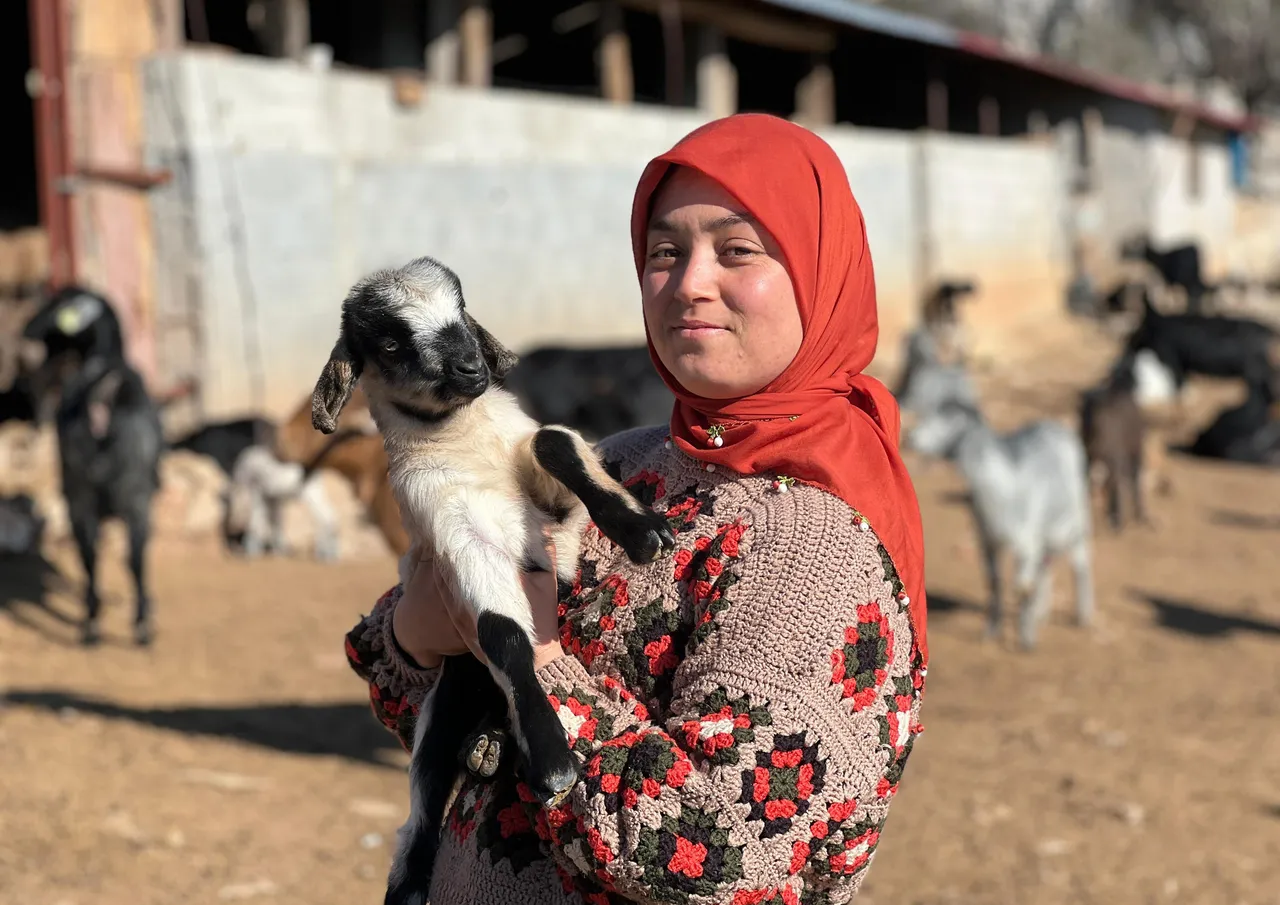 Üniversiteyi bitirdi, köy hayatını seçti! Hollanda’dan gelip Yörük kızı Ayşe’yi izliyorlar