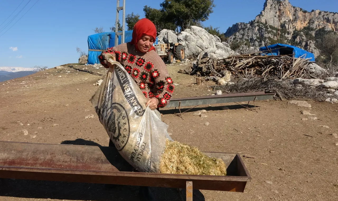 Üniversiteyi bitirdi, köy hayatını seçti! Hollanda’dan gelip Yörük kızı Ayşe’yi izliyorlar