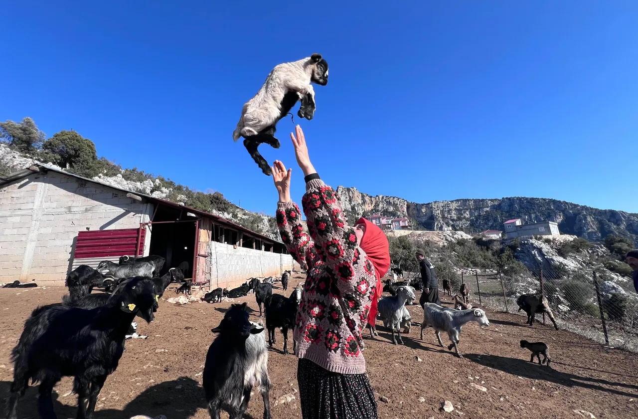 Üniversiteyi bitirdi, köy hayatını seçti! Hollanda’dan gelip Yörük kızı Ayşe’yi izliyorlar