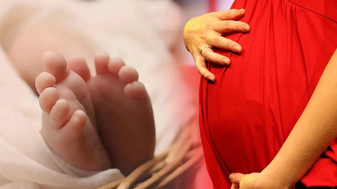 Doğum izni yetersiz! Eğitim-Bir-Sen, 81 ilde, 15 bin 44 kadınla araştırma yaptı