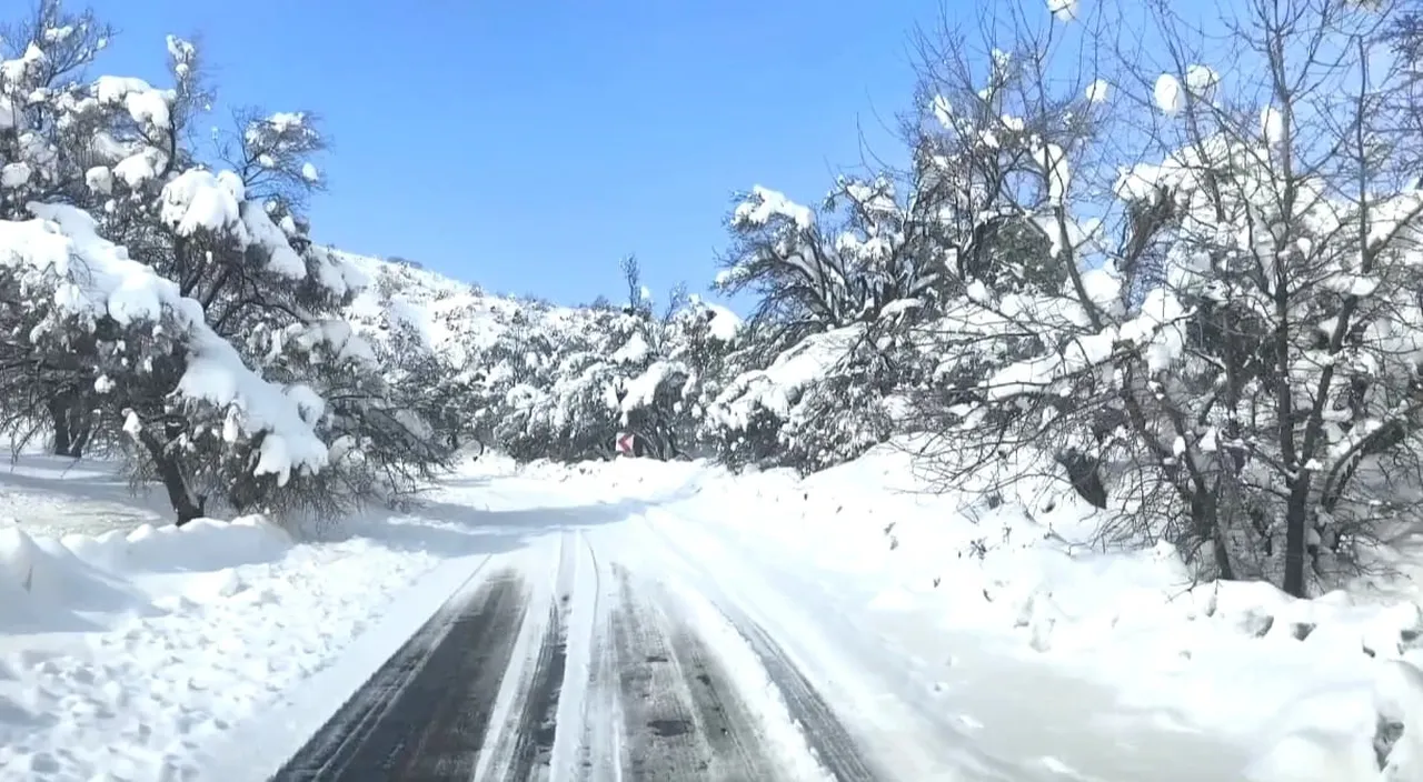 Kuraklık alarmı verilen kentte 65 yıllık rekor yağış!