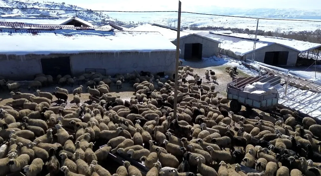 Kuraklık alarmı verilen kentte 65 yıllık rekor yağış!