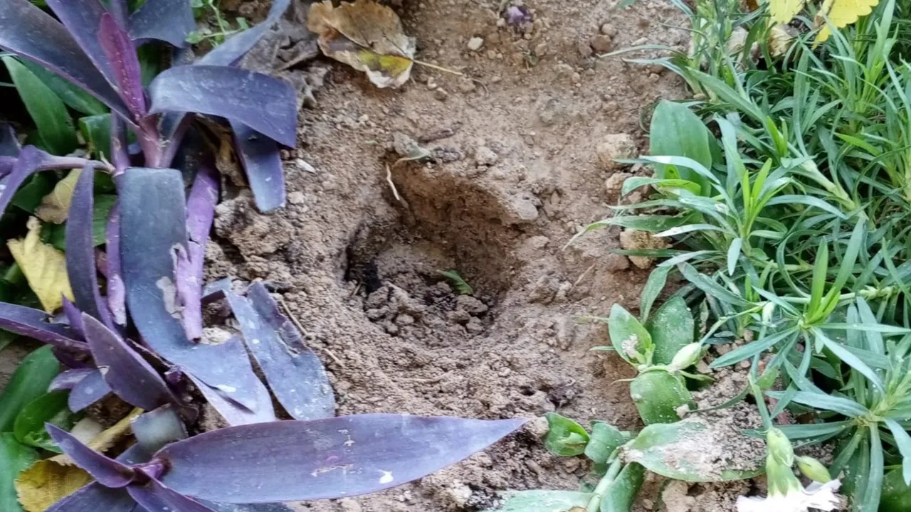 Torbacılar, mezarlardaki çiçekleri söküp uyuşturucu saklamış.