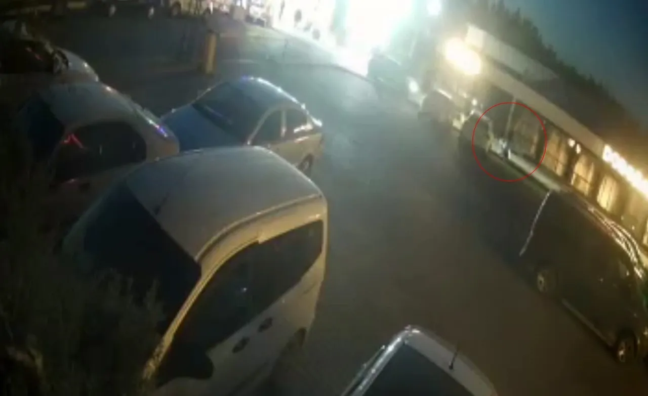 60 yaşındaki adamı öldüren zanlının ifadesi tüyleri diken diken etti