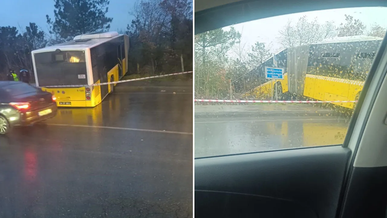 Freni boşalan İETT otobüsü ormana uçtu!