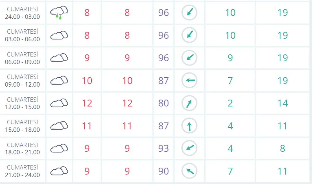 24 Ocak İstanbul hava durumu