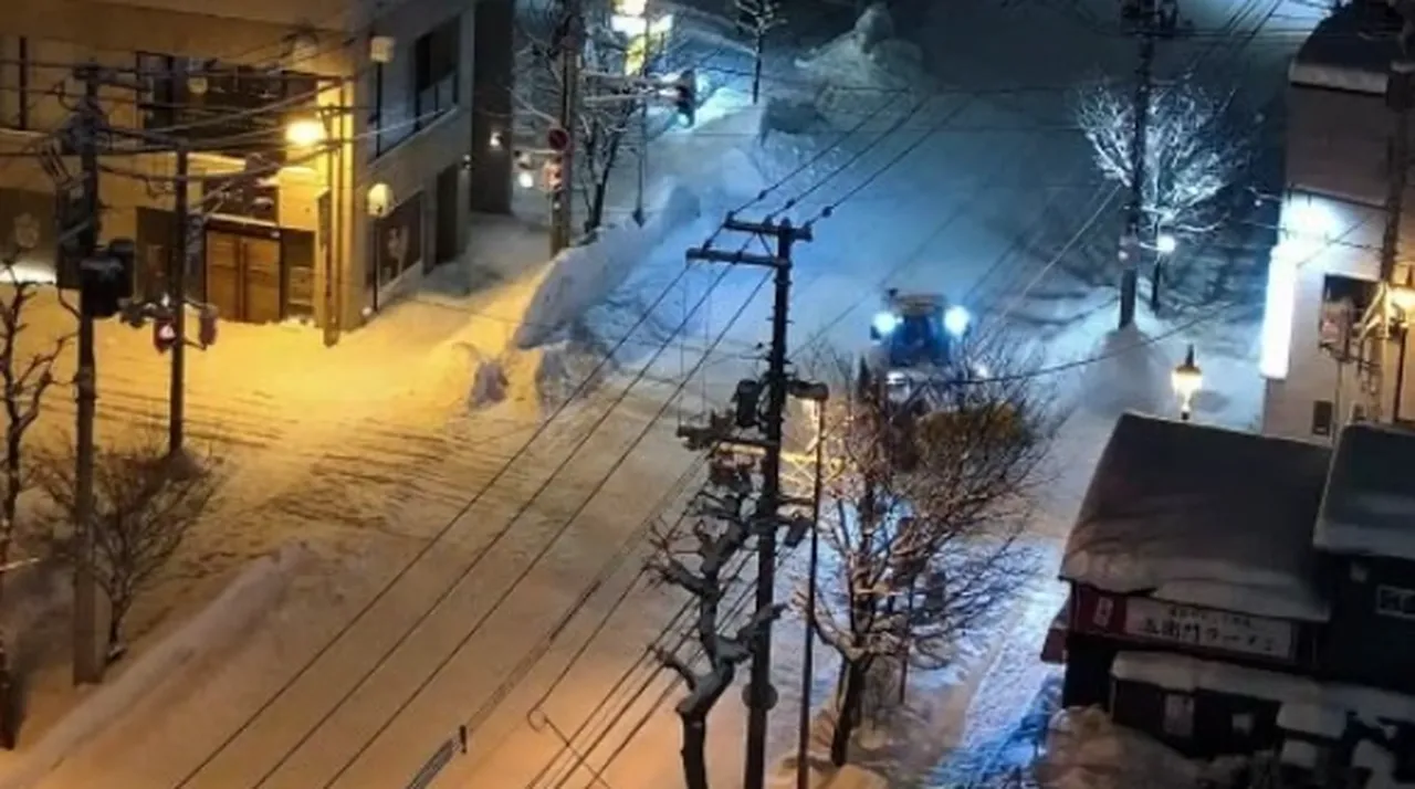 Japonyada karın bilançosu ağır oldu! Çok sayıda ölü ve yaralı var