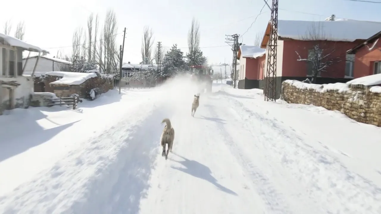 Sivas kara teslim oldu! Yollar kapandı, yüzlerce yolcu mahsur kaldı