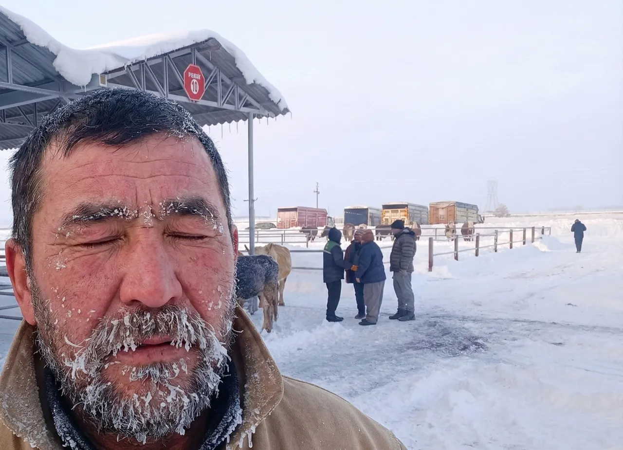 Türkiyenin en büyük hayvan pazarına ‘kar’ engeli: Kapatıldı