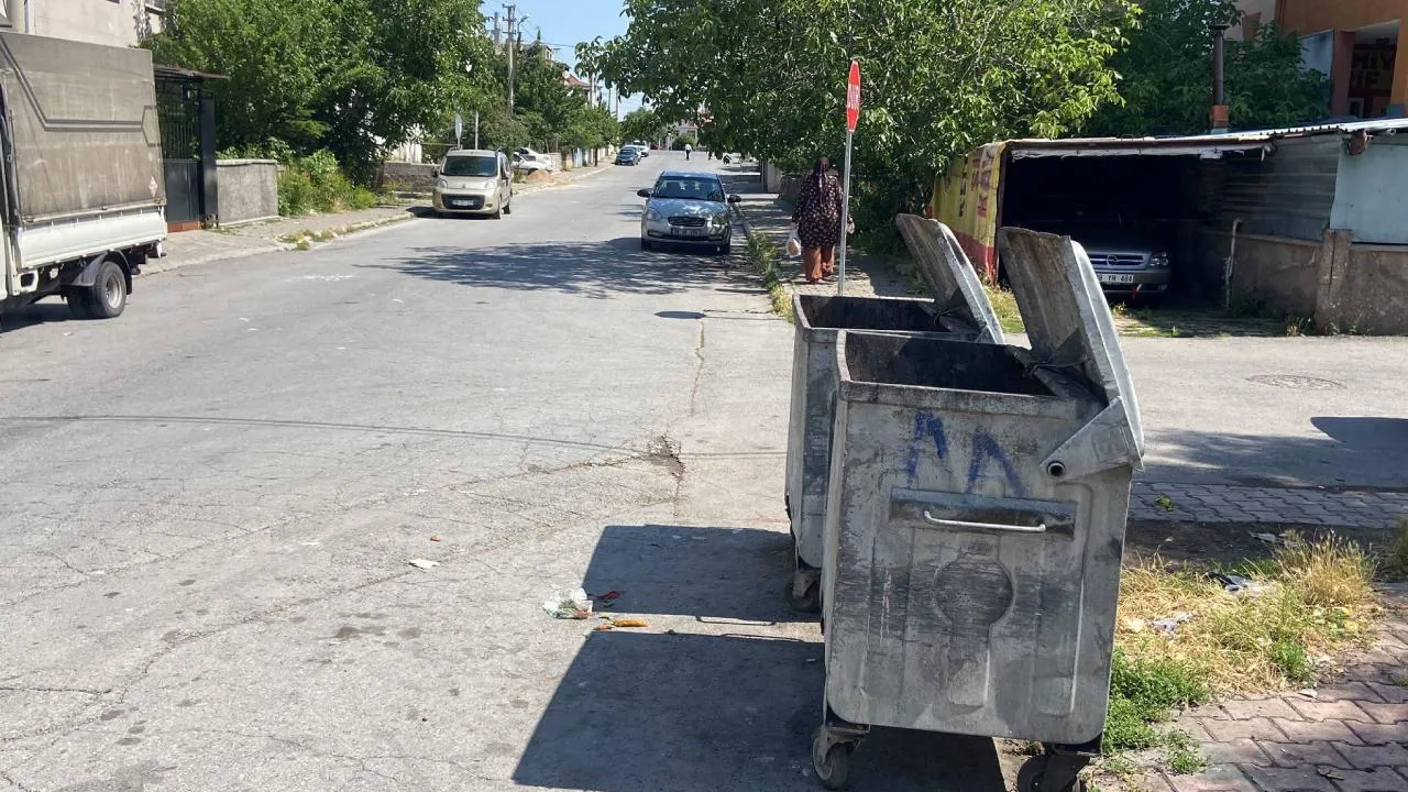 Yenidoğan bebeği çöpe atan caniler için istenen ceza belli oldu