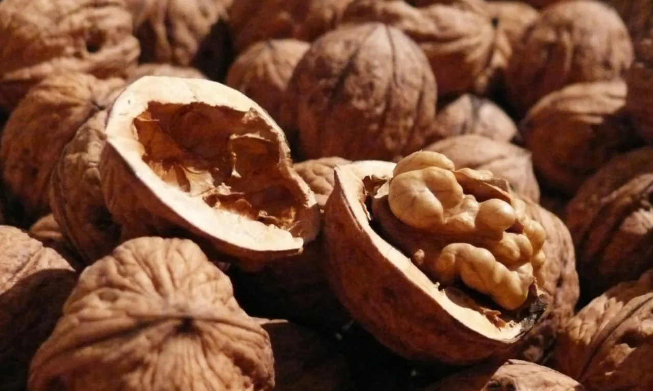 Günlük 2 tane yeterli! Karaciğeri ilk günkü gibi yapıyor