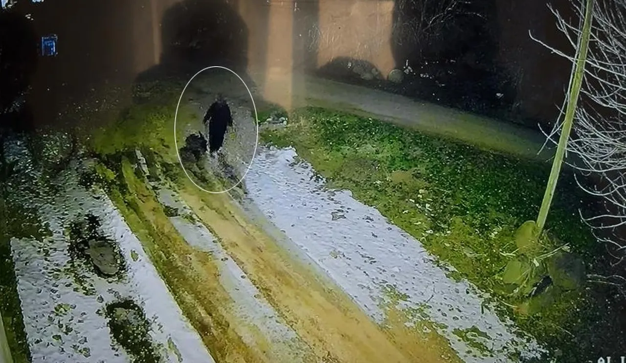 Nimet Kılıç sırra kadem bastı! 3 gündür her yerde aranıyor