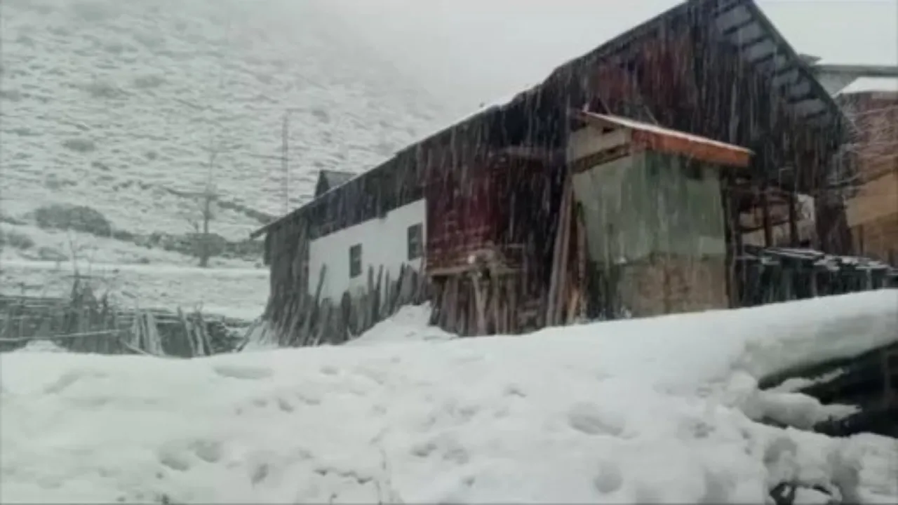 Pakistan'da kar yağışı felakete dönüştü! Eve çığ düştü, bir aile yok oldu