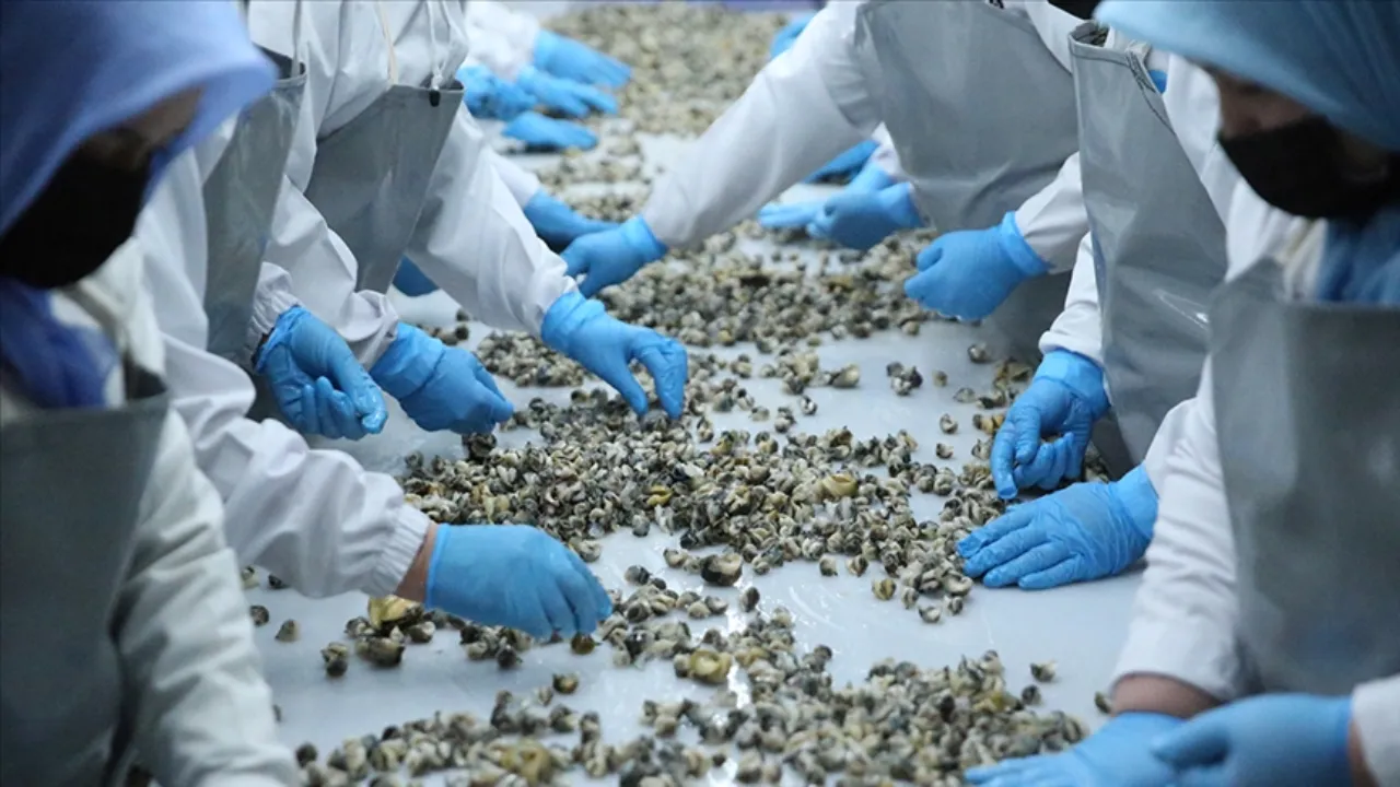 Türkiye'de çok tüketilmiyor! 2025'te ekonomiye 21 milyon dolar kazandırdı