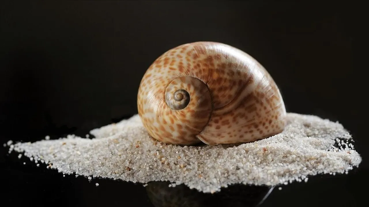 Türkiyede çok tüketilmiyor! 2025te ekonomiye 21 milyon dolar kazandırdı