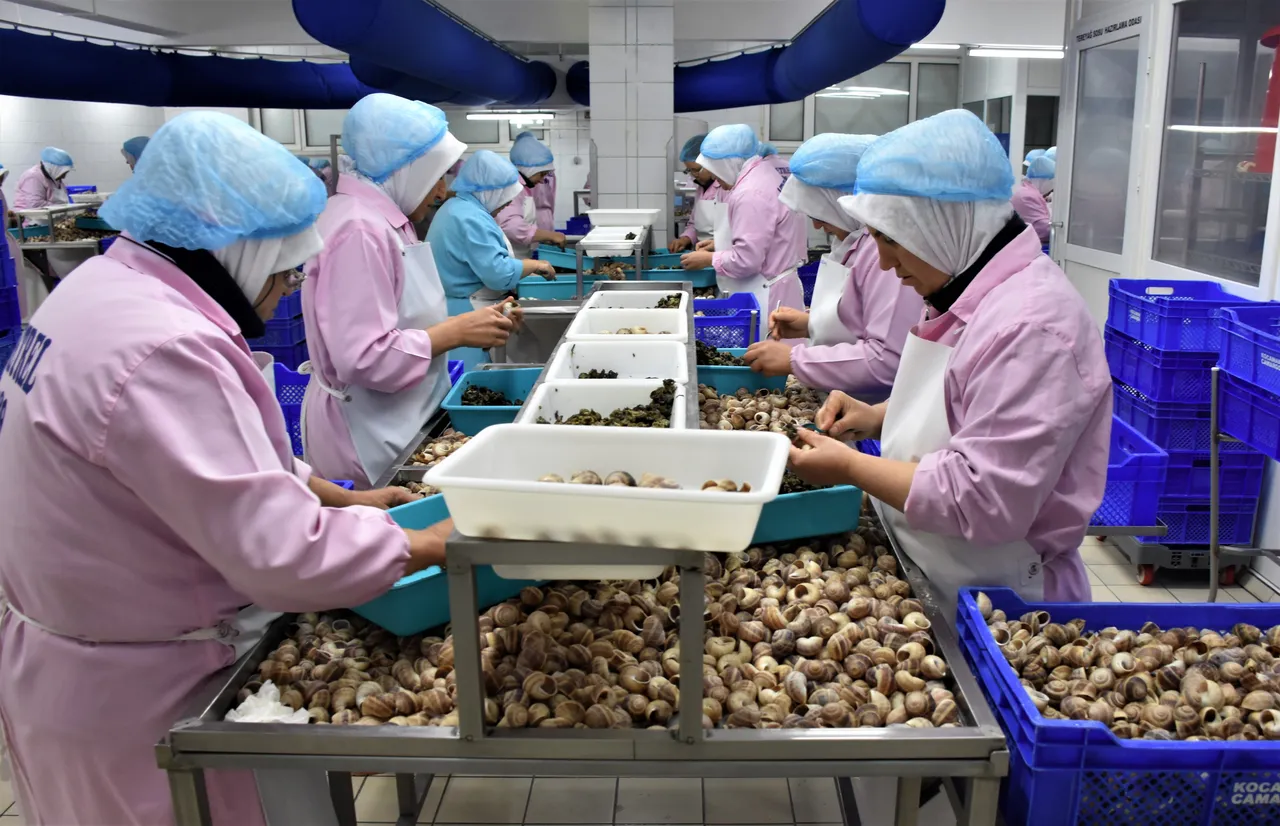 Türkiyede çok tüketilmiyor! 2025te ekonomiye 21 milyon dolar kazandırdı