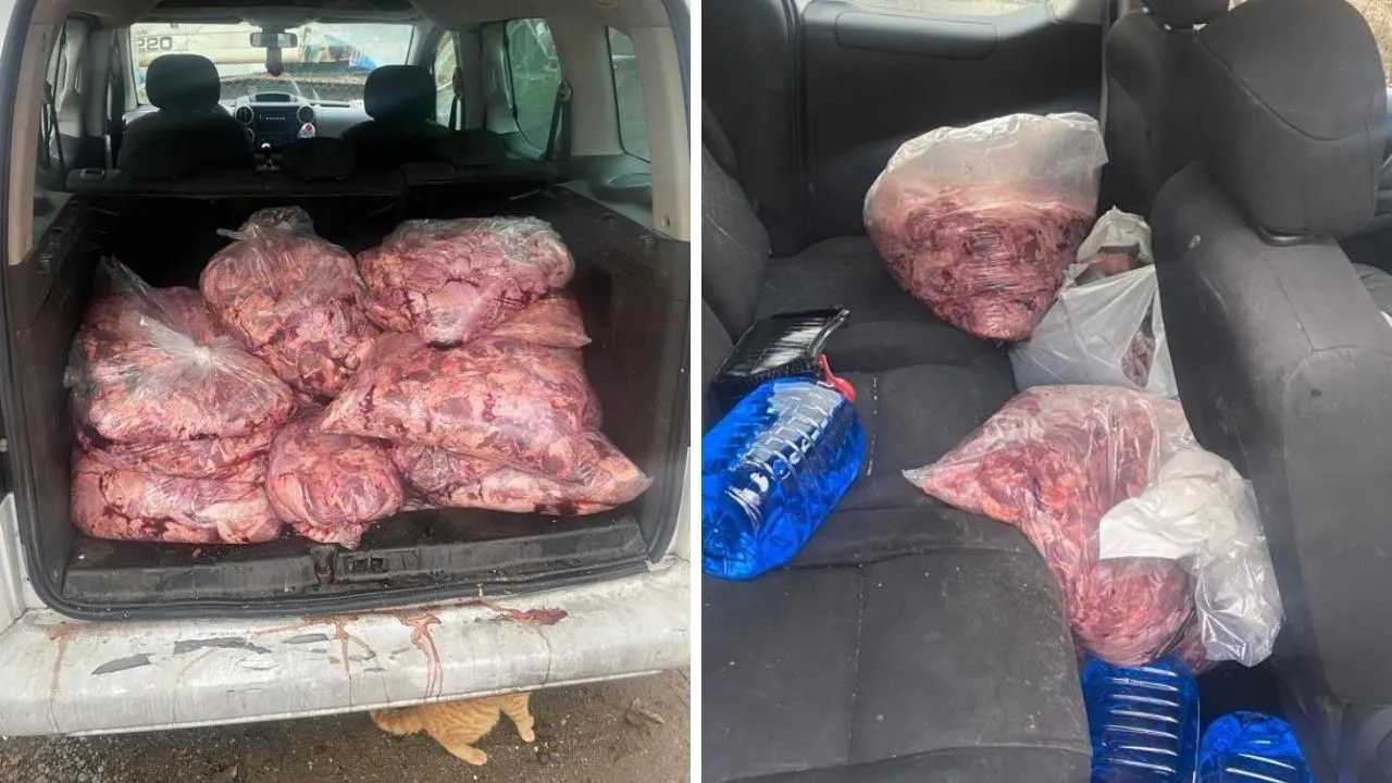 Vatandaşa yedireceklerdi! Durdurulan araçtan 450 kilo bozulmuş et çıktı