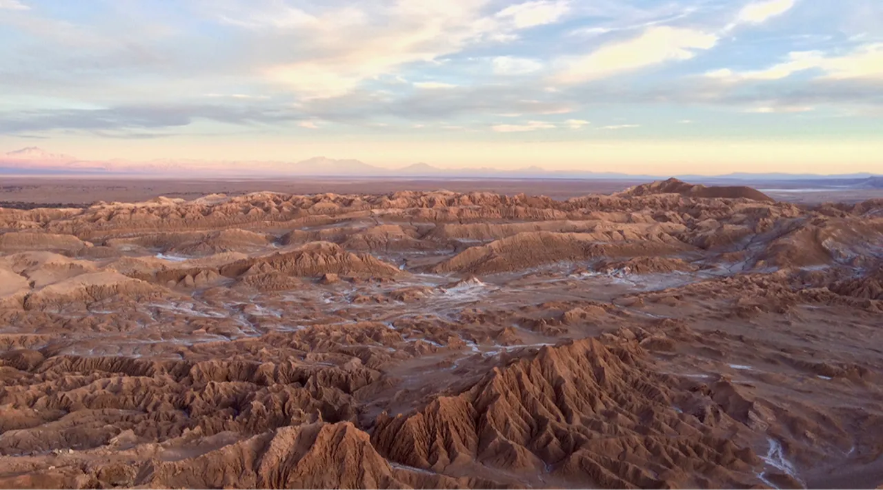 400 yıldır bir damla bile yağmadı! Ölülerin çürümediği Atacama Çölü'nde hayatın sırrı ne?