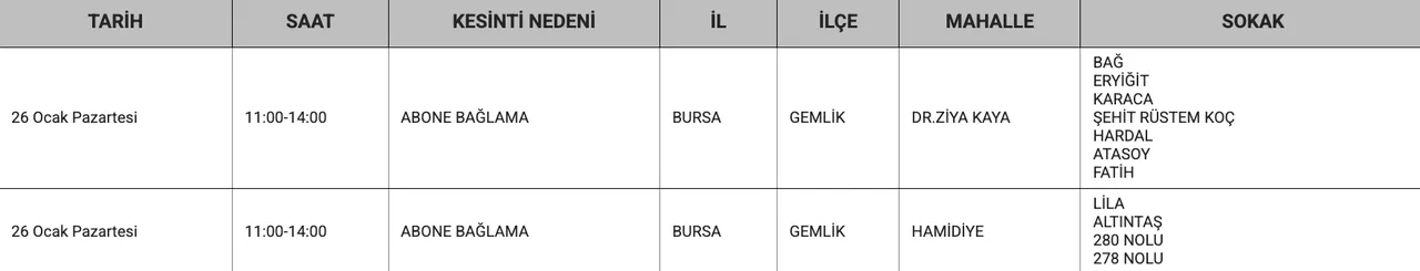 Bursa'da (Mudanya, Gemlik, İnegöl, Yıldırım) elektrikler ne zaman gelecek? UEDAŞ duyurdu