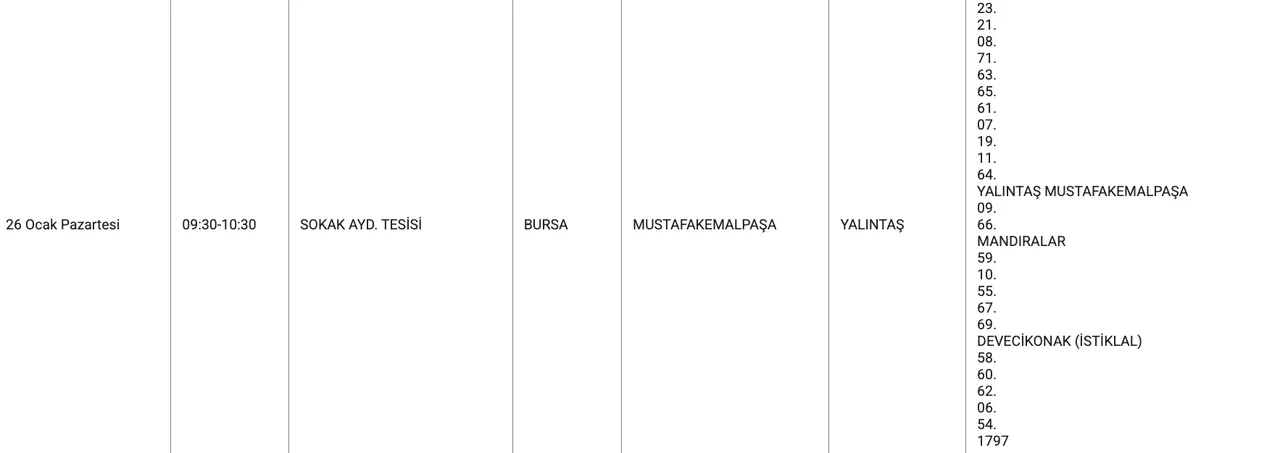 Bursa'da (Mudanya, Gemlik, İnegöl, Yıldırım) elektrikler ne zaman gelecek? UEDAŞ duyurdu