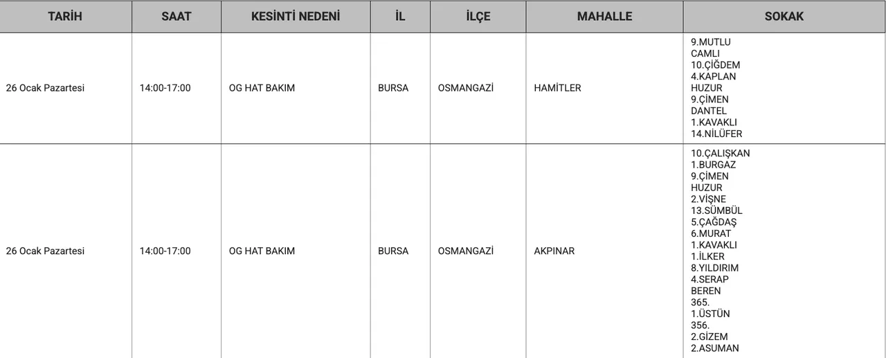 Bursa'da (Mudanya, Gemlik, İnegöl, Yıldırım) elektrikler ne zaman gelecek? UEDAŞ duyurdu