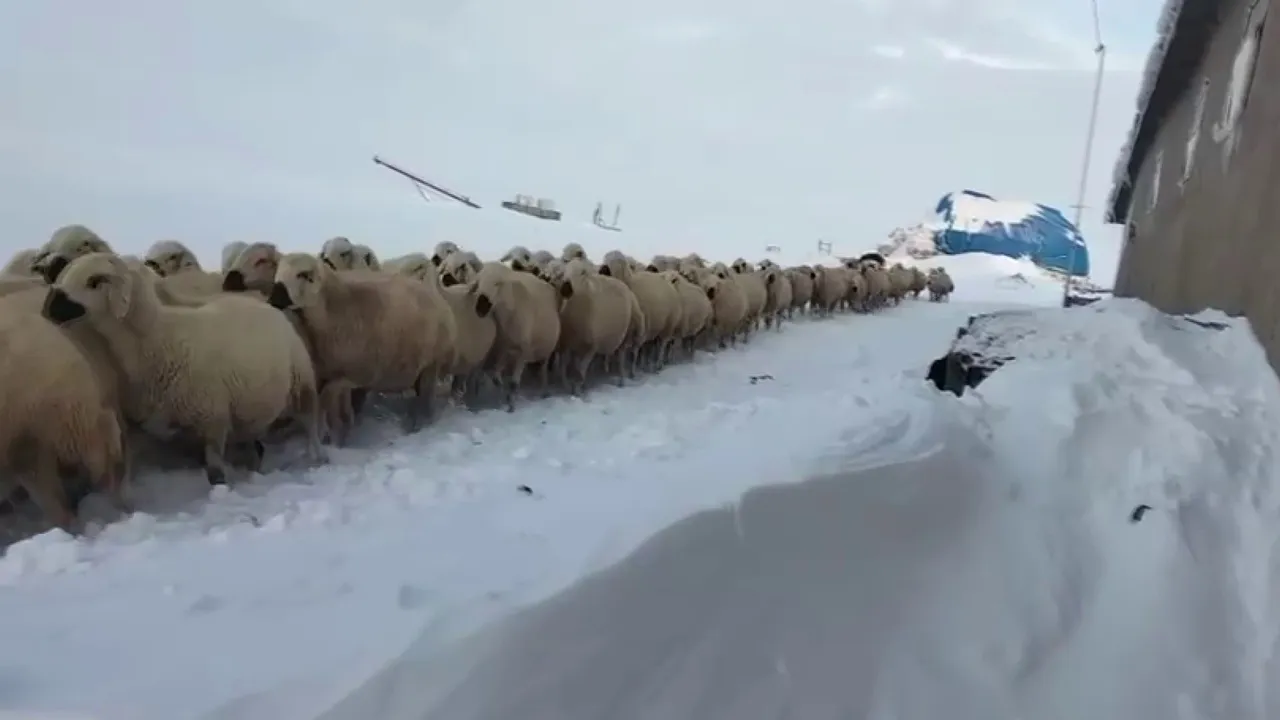 Kar kalınlığı 2 metreyi aştı! Son 15 yılın en fazla yağışı