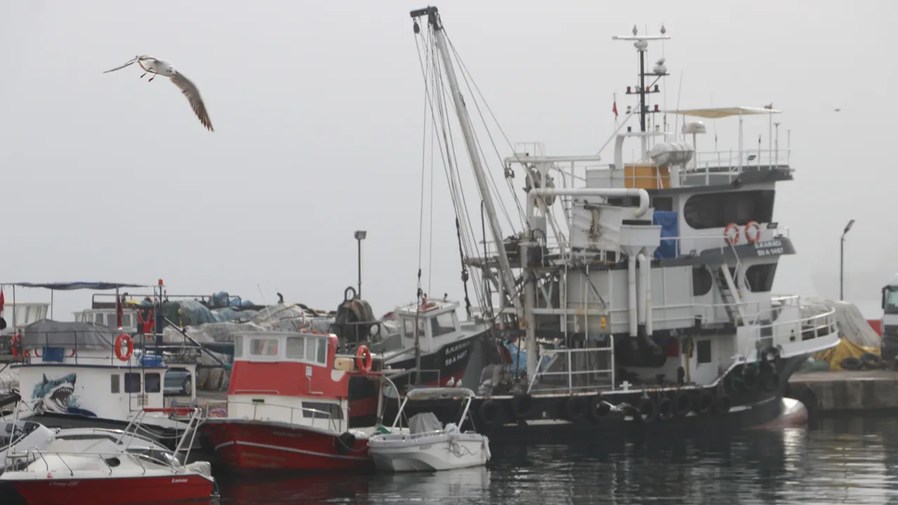 Kentin üzerine sis çöktü, balıkçılar iki gündür denize açılamıyor!