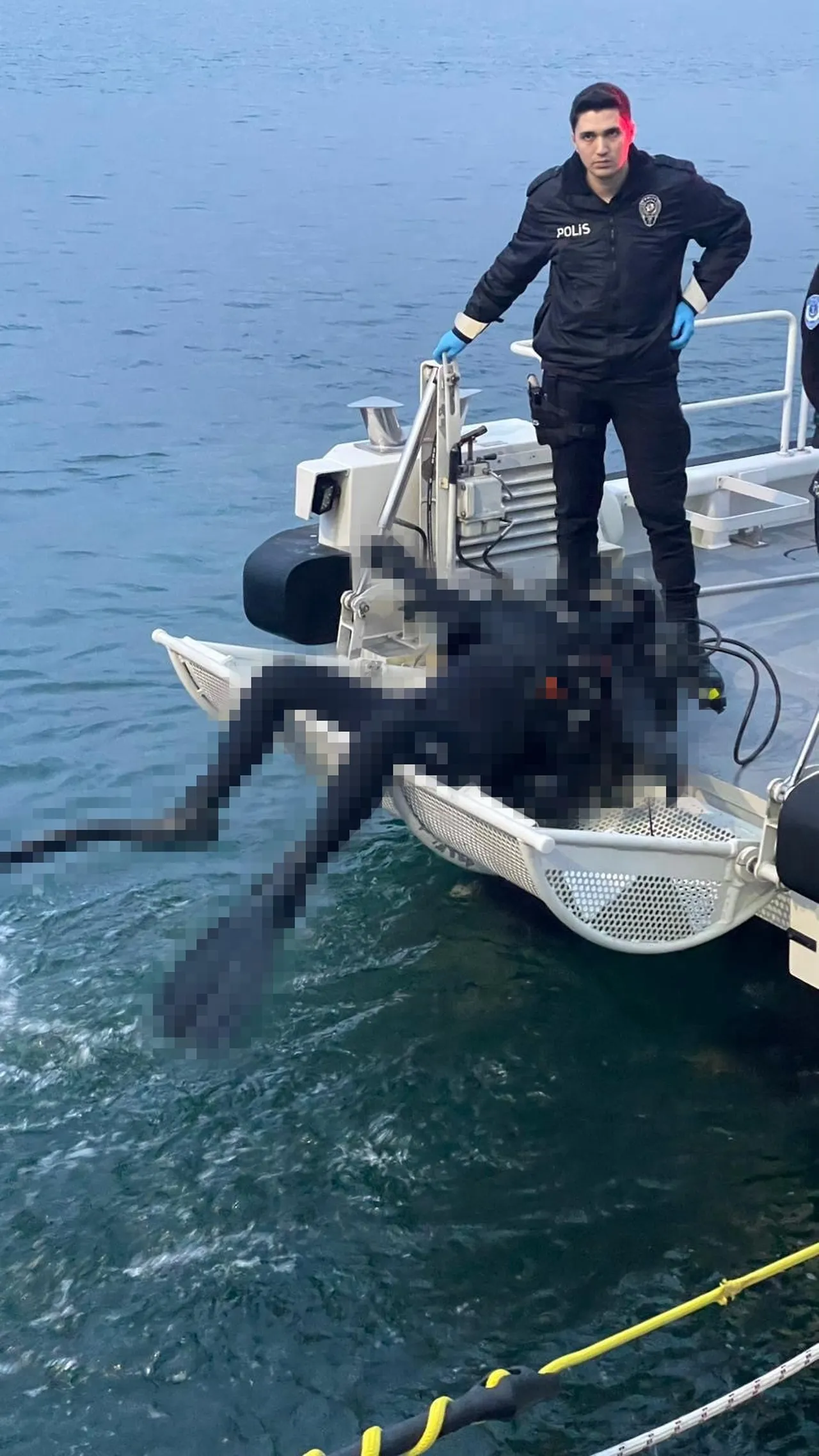 20 gündür denizde olan ceset kime ait? Dikkat çeken analiz