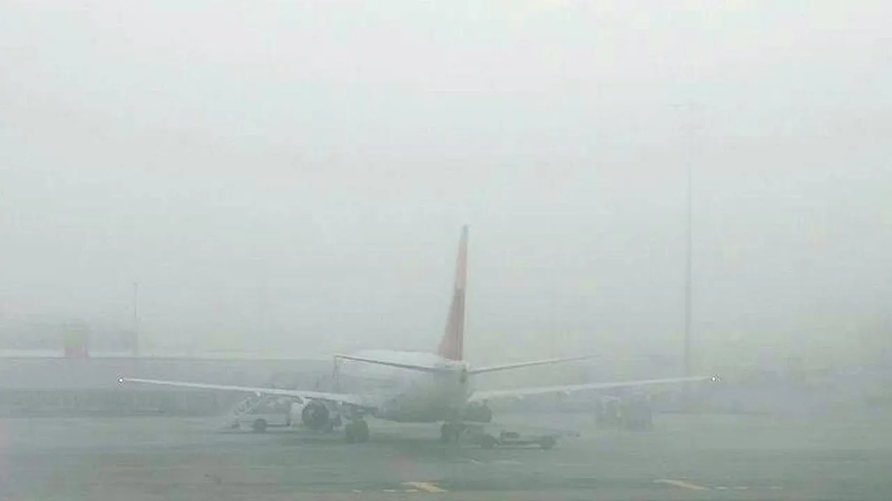 Diyarbakır'da ulaşım durdu! Sis nedeniyle uçuşlar iptal edildi