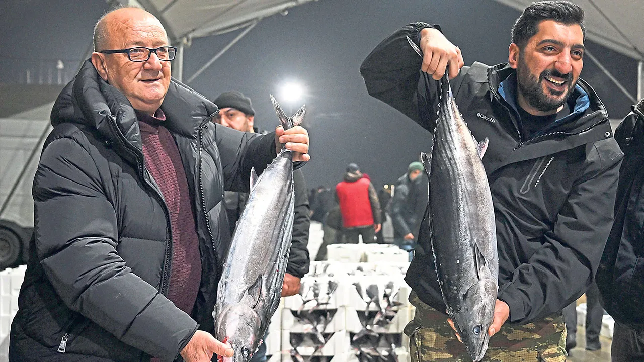 Palamudun büyüğü geldi! Marmara'da torik bolluğu