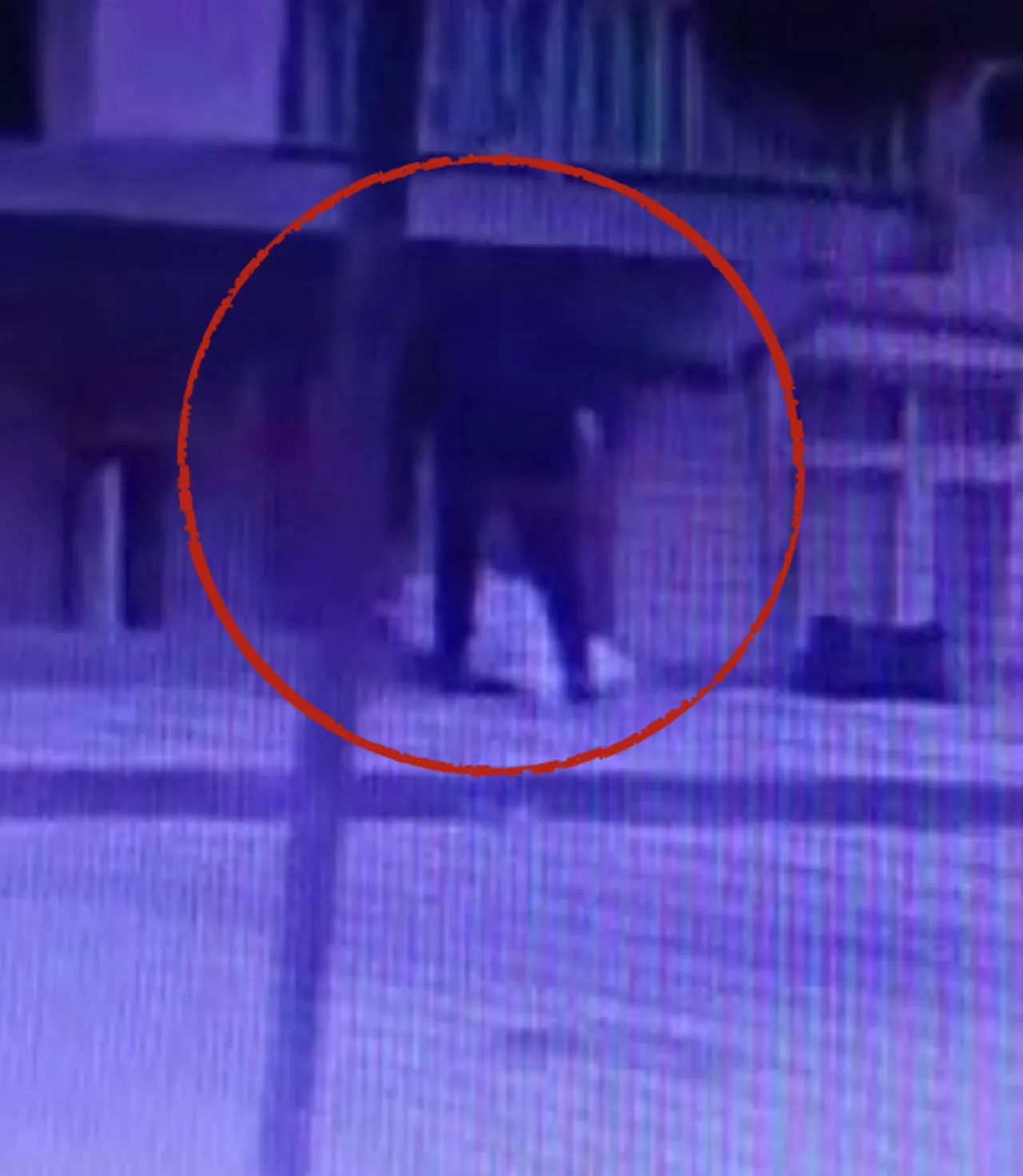 Şişlideki kesik baş cinayetinin yeni görüntüleri ortaya çıktı! Balkondan bavulla çıkarıp taksiyle götürmüşler