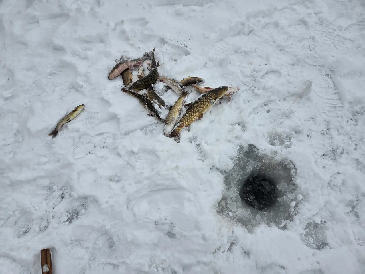 Türkiyenin en uzun nehri dondu! Üzerinde eskimo usülü balık avladılar