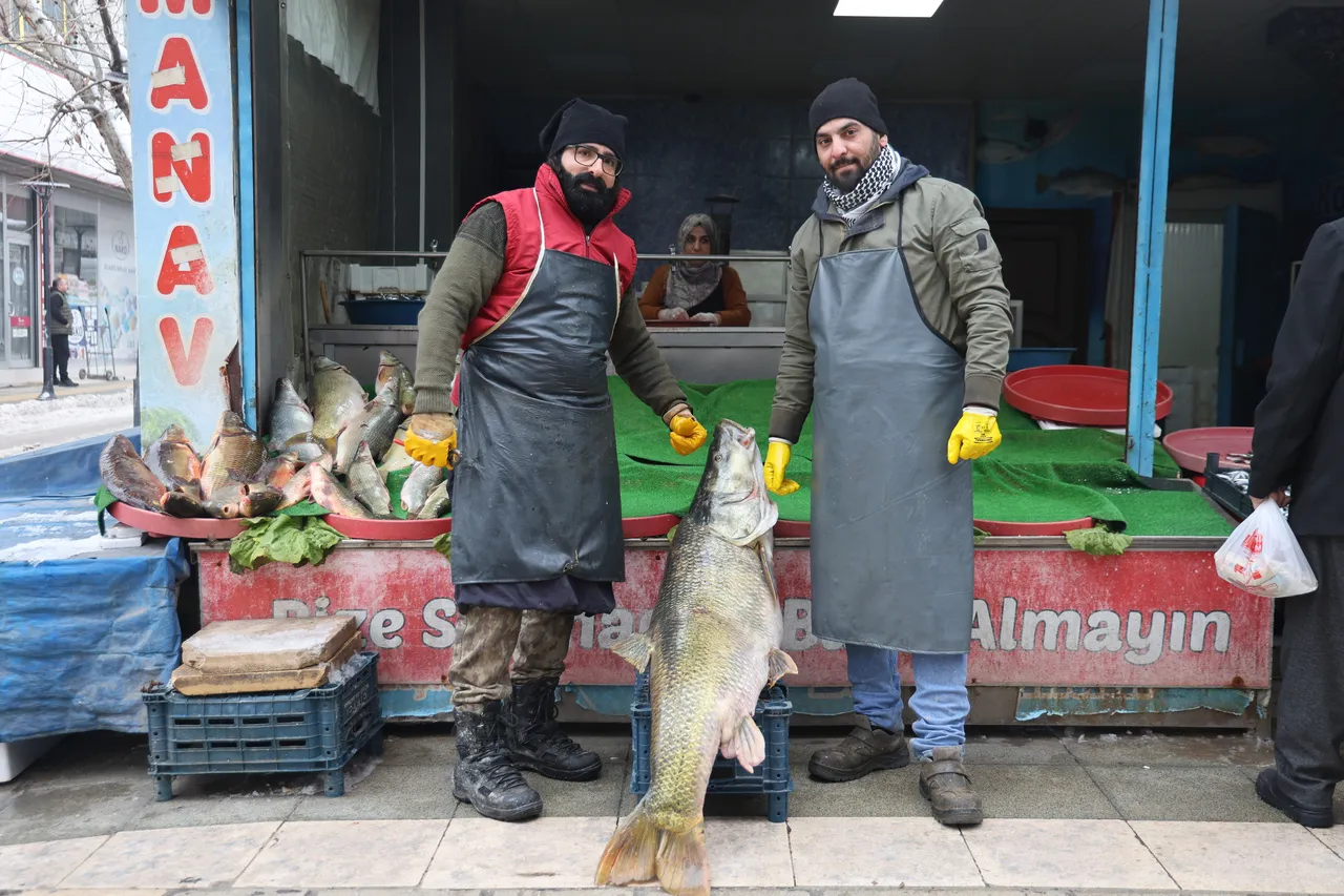Elazığ'da yakalandı, 2 kişi zor kaldırıyor! Kilosu 500 liradan satışta