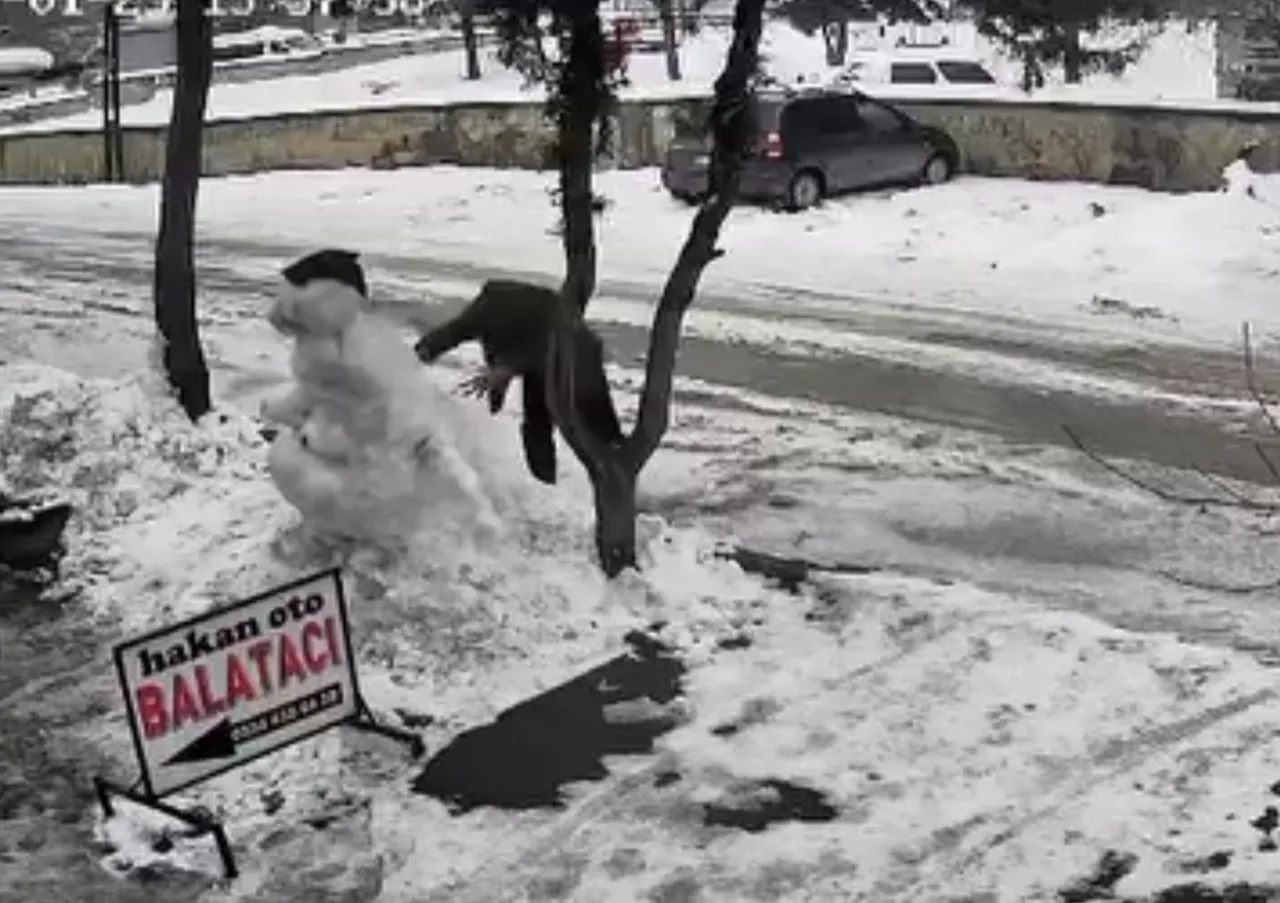 Kardan adamları devirip kaçtılar!