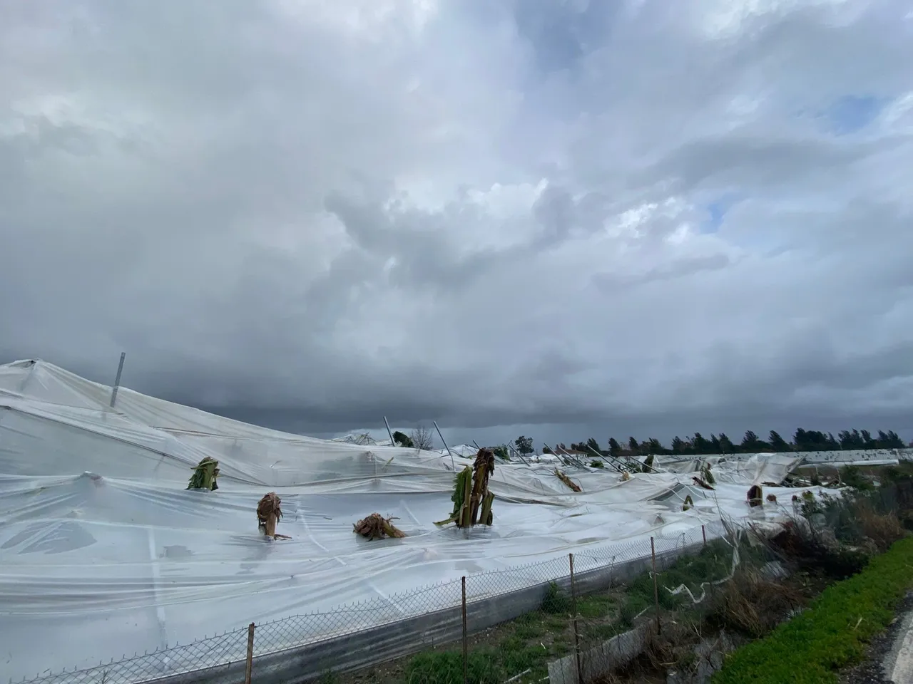 Manavgatta hortum! Minare ve seralar yıkıldı, ağaçlar kökünden söküldü