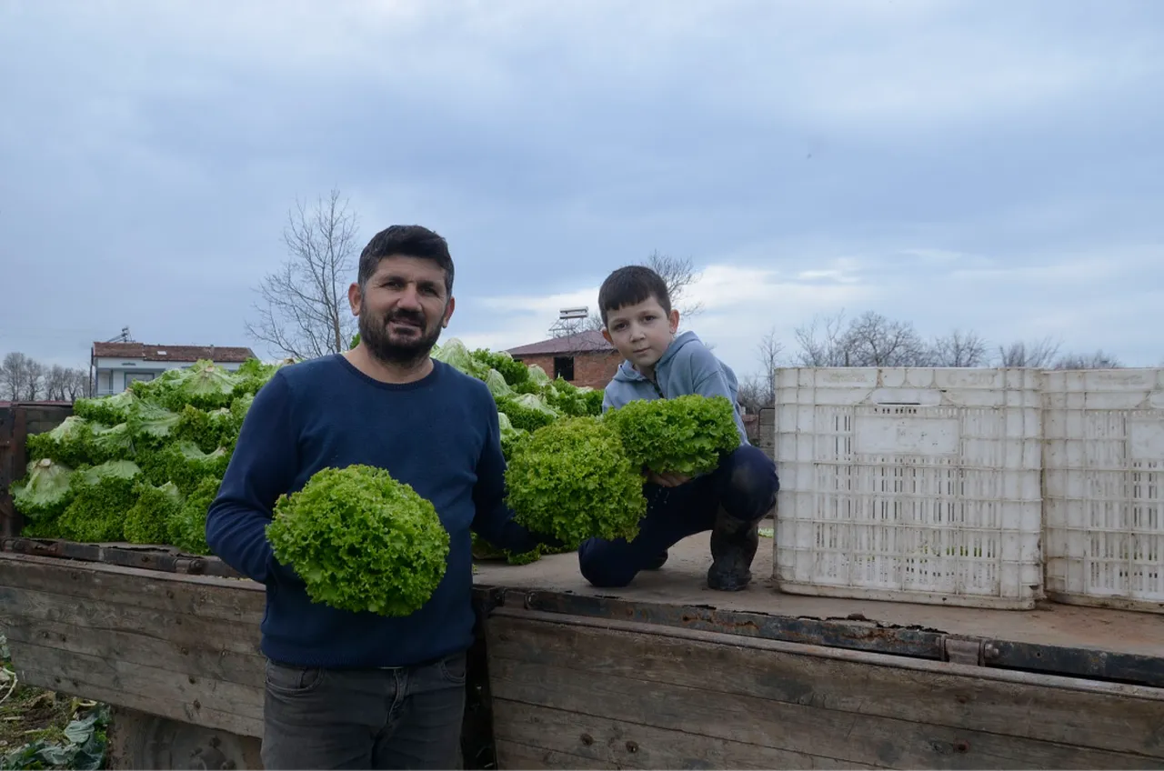 Markette 40 lira! Üretici tarla fiyatından şikayetçi: Maliyetimizi kurtarmıyor