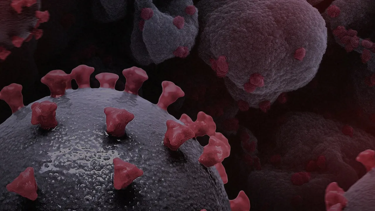 Nipah virüsü tehdidi! Dikkat grip gibi başlıyor, ölümcül olabilir