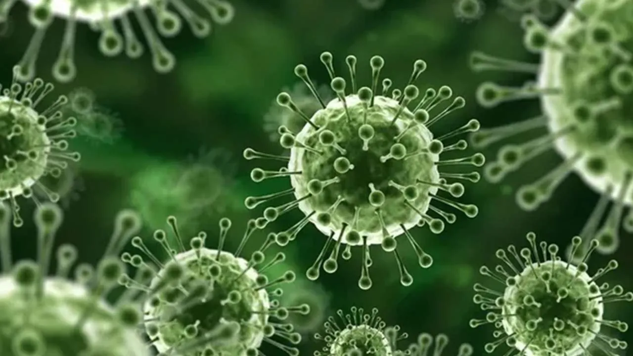 Nipah virüsü yeni bir pandemiye neden olabilir mi? Pek çok ülkede sınır kontrolleri geri geldi