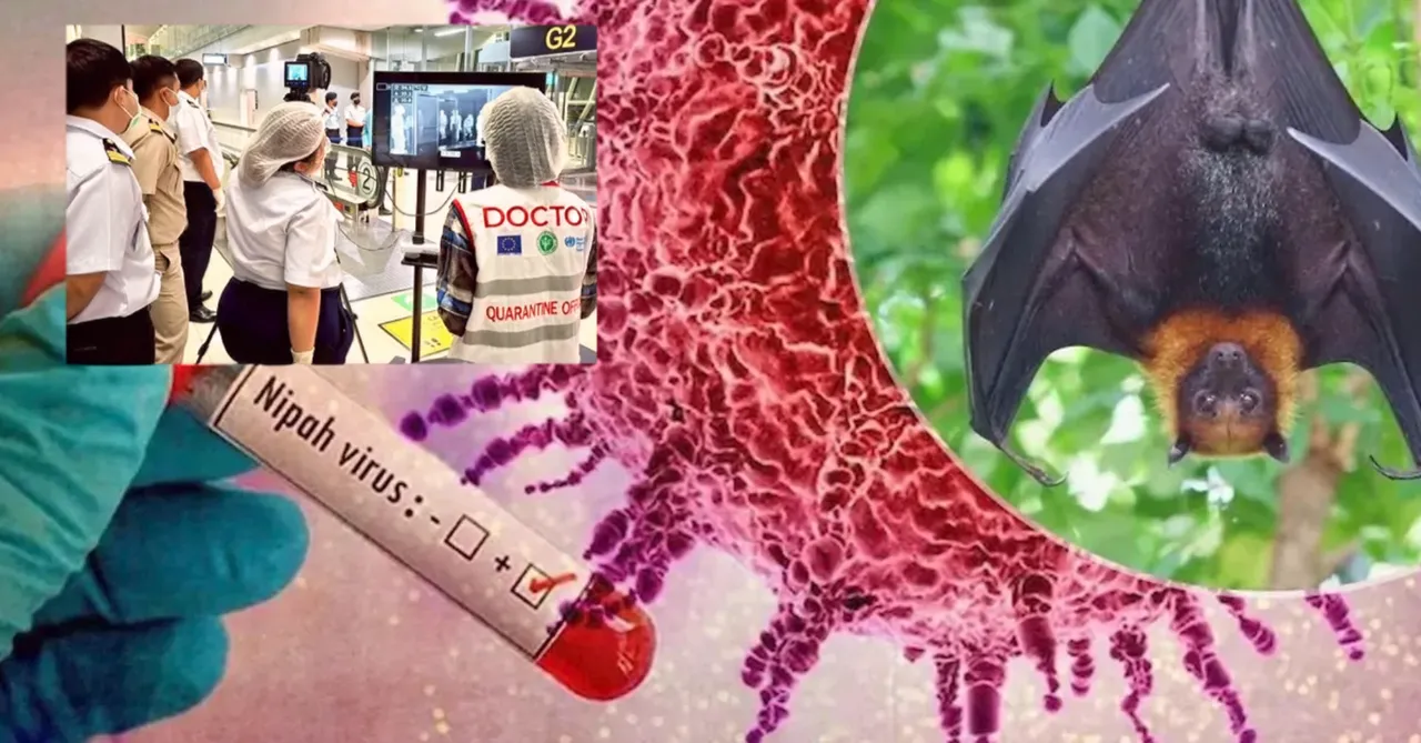 Nipah virüsü yeni bir pandemiye neden olabilir mi? Pek çok ülkede sınır kontrolleri geri geldi