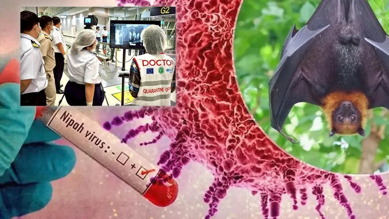 Nipah virüsü yeni bir pandemiye neden olabilir mi? Pek çok ülkede sınır kontrolleri geri geldi