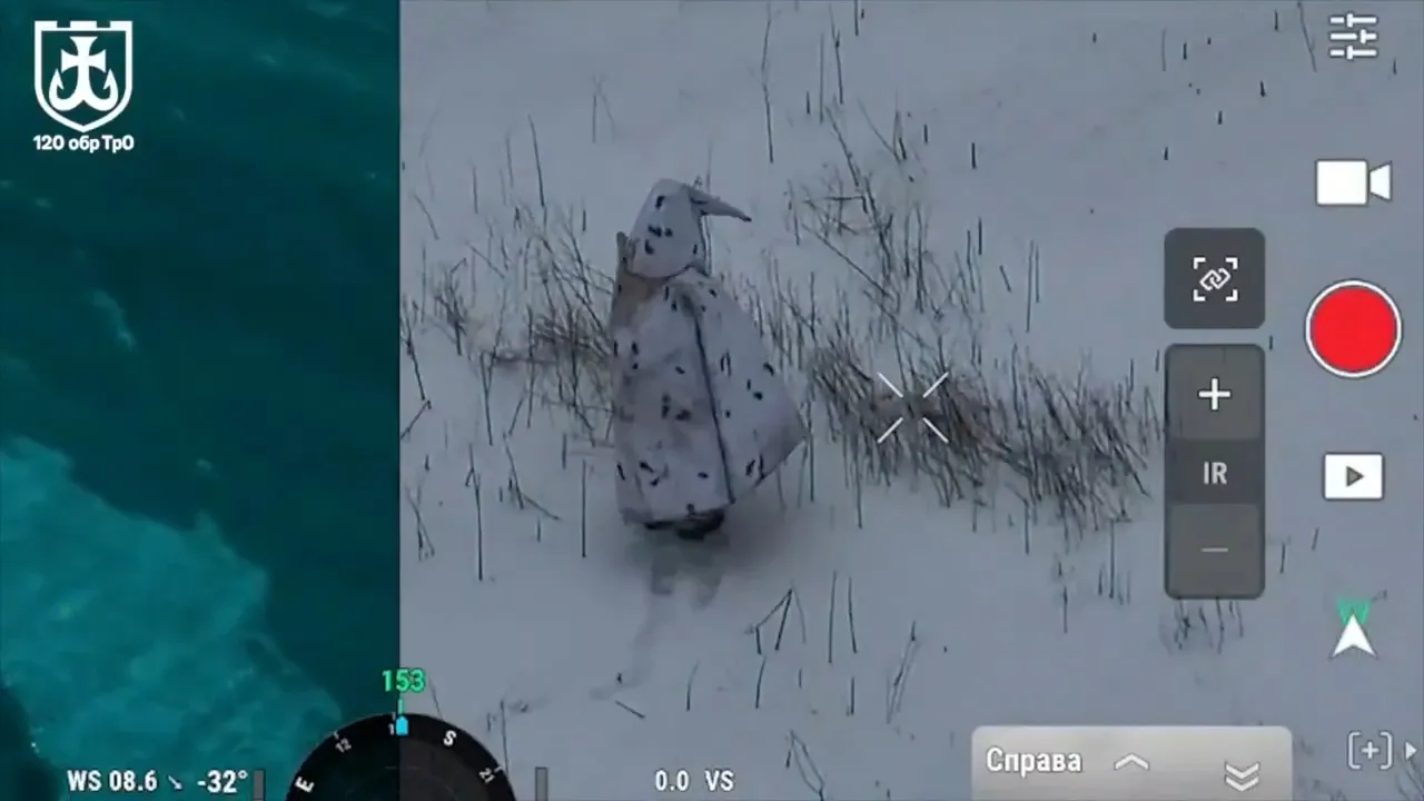 Rus askerinin gizlenme taktiği gündem oldu: Ukrayna, "Penguenler yakalandı” notuyla duyurdu