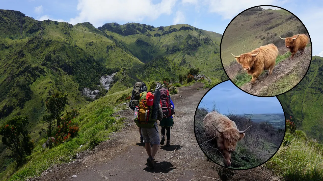 Yeni ‘doğa trendi’ az daha öldürüyordu! Yetkililer uyardı: Gerçeği yansıtmıyor